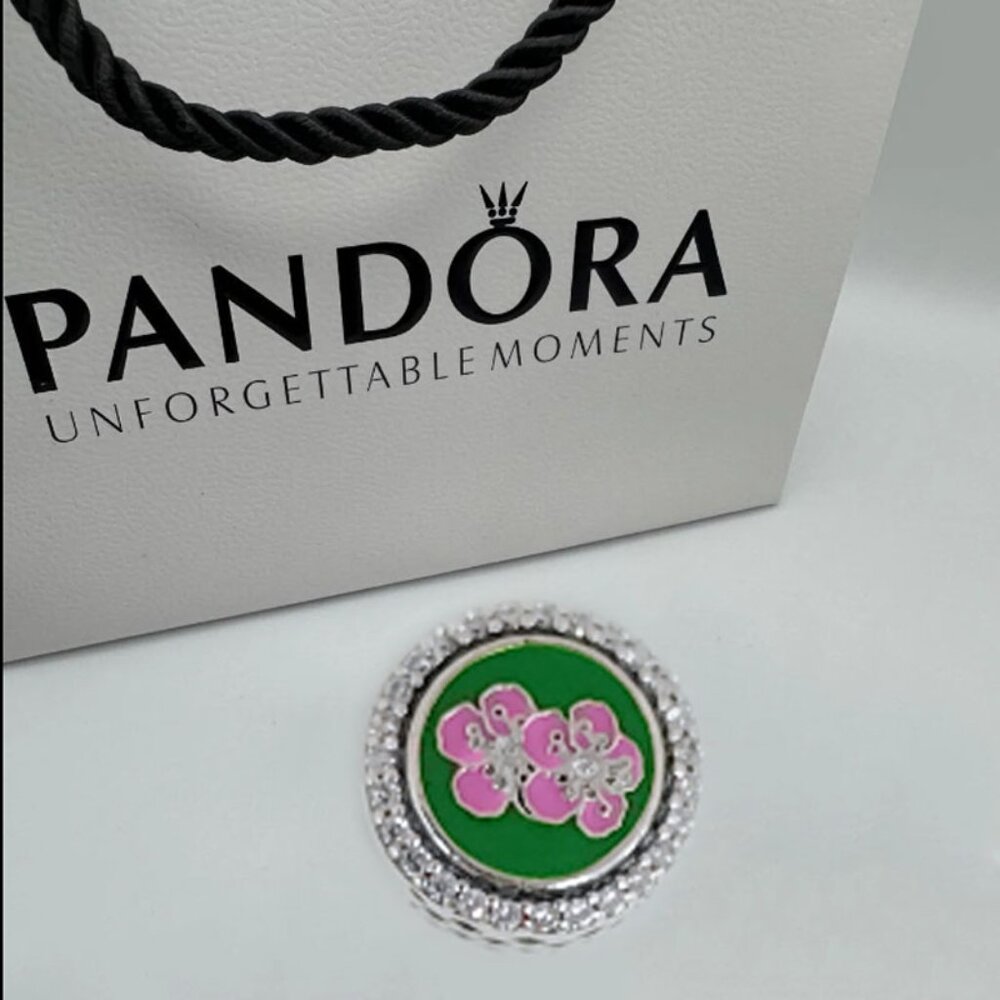 Pandora Winchester VA 2021 Bead Charm Bracelet Pendant S925 Silver with box